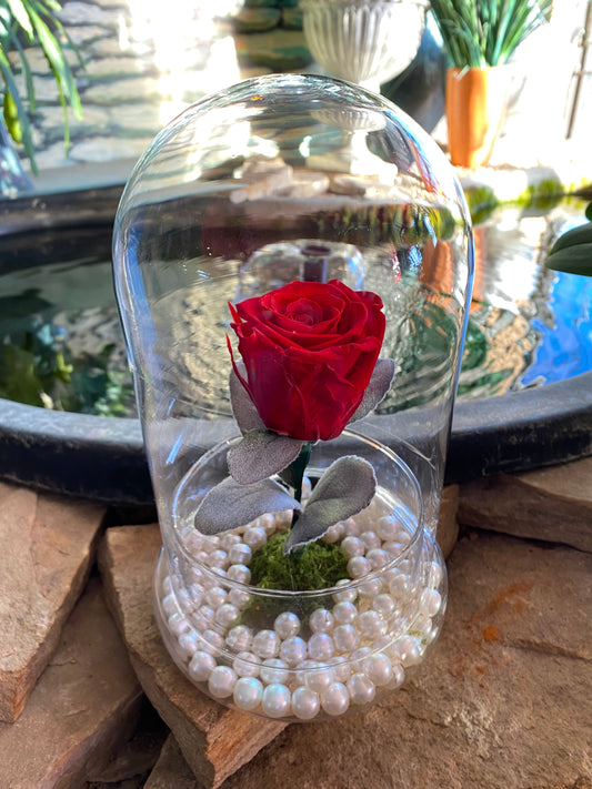 ER02- Eternal Red Rose & Large Glass Dome