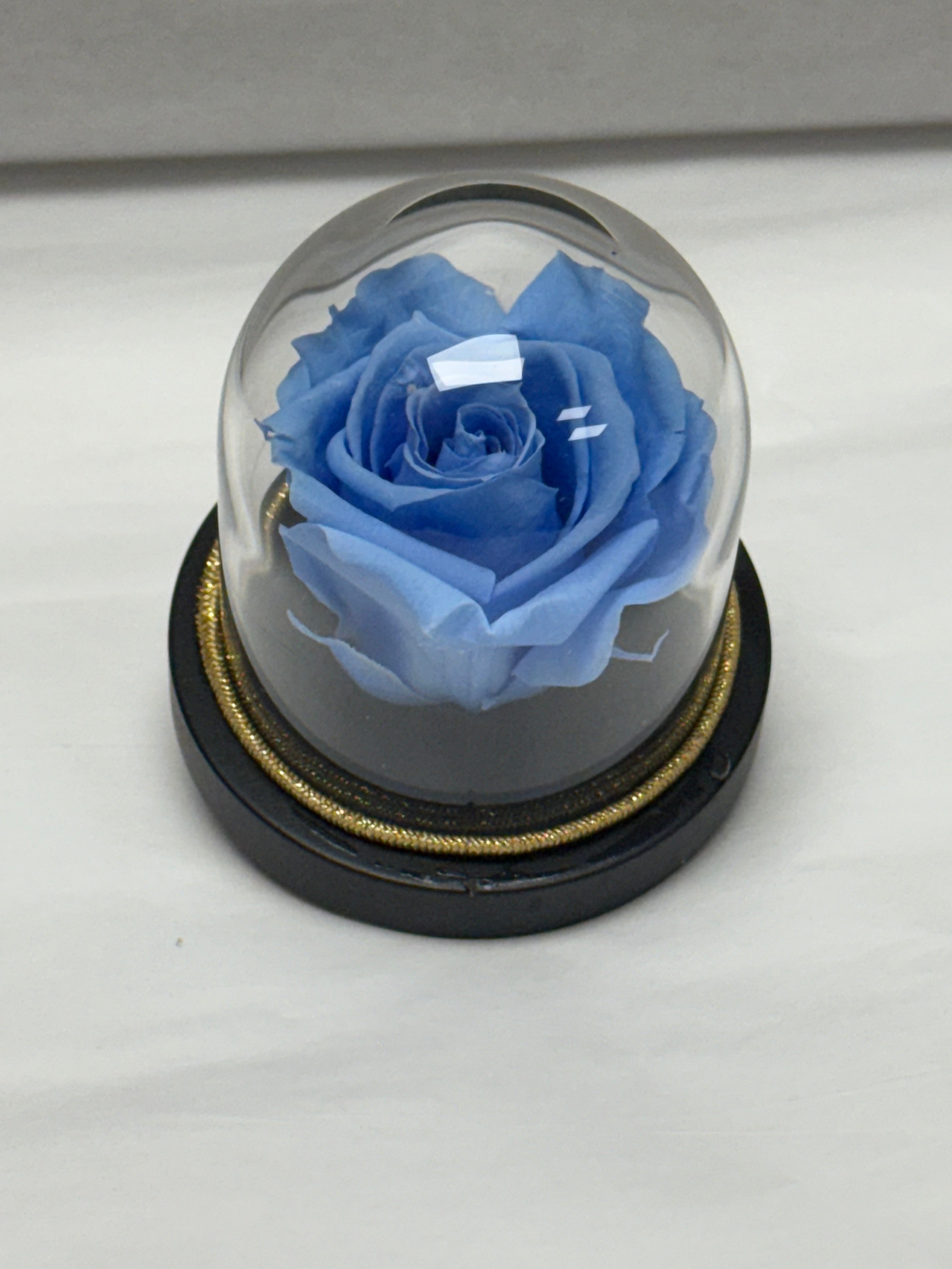 Fleur Éternelle JEWELRY CASE MINI BLUE ERM - Eternal Rose Mini Collection – Les Fleurs Dimitry