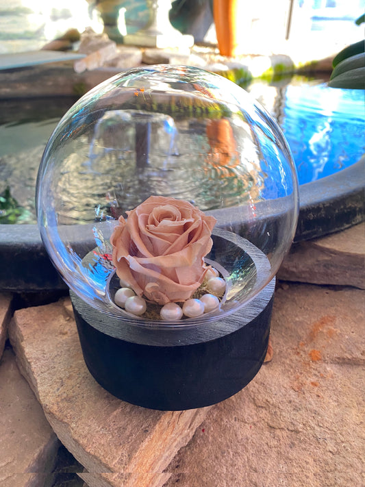 ER03- Eternal Nude Rose & Small Glass Dome
