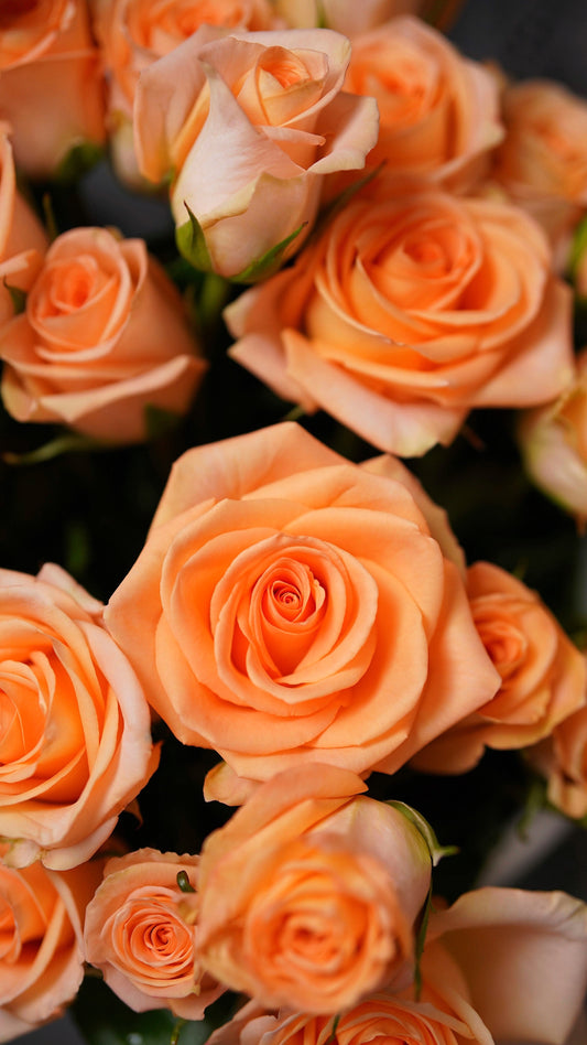RB06TwoTone - Bouquet of Two Tone Orange & Yellow Roses, Long Stem