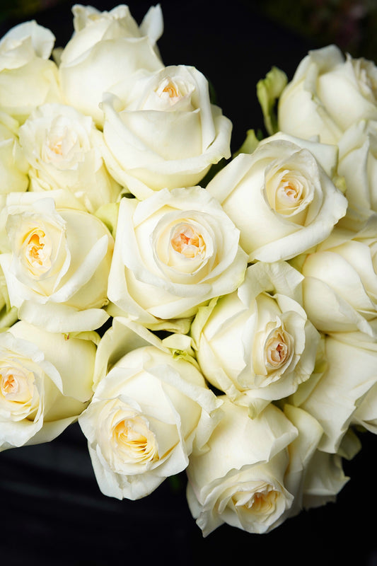 RB04White - Bouquet of White Roses, Long Stem