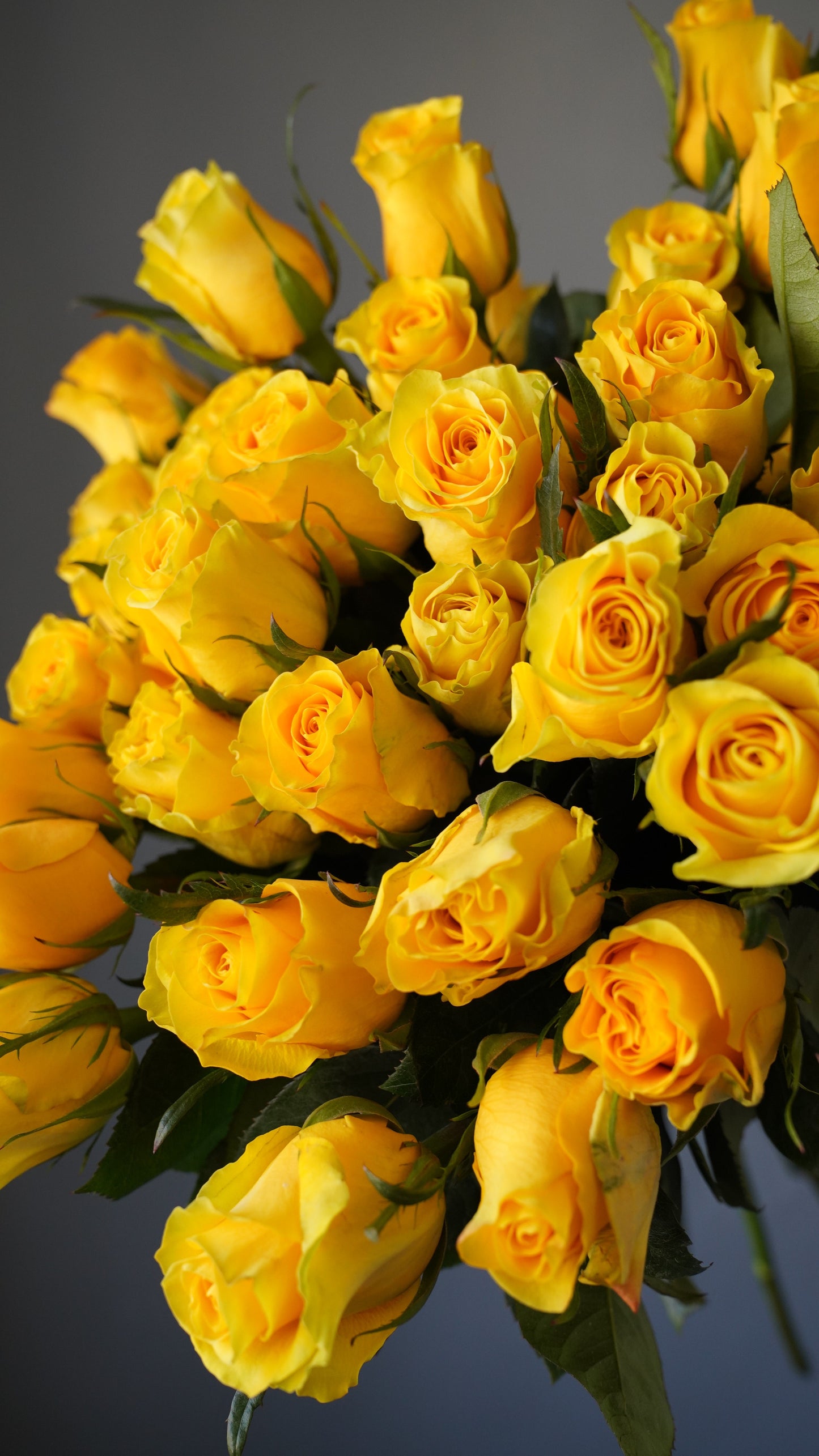RB03Yellow - Bouquet of Yellow Roses, Long Stem