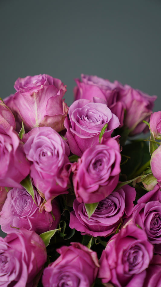 RB05Lavender - Bouquet of Lavender Roses, Long Stem